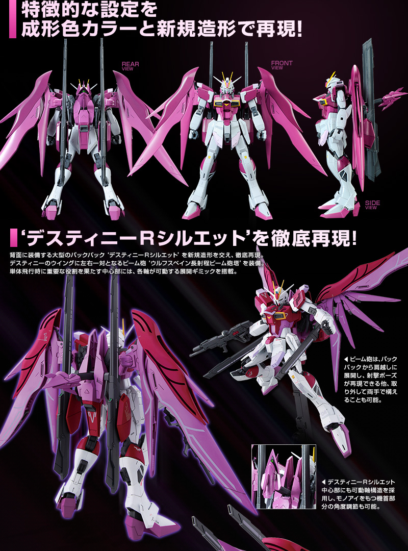 MG 1/100 Destiny Impulse Gundam R (REGENES) Plastic Model