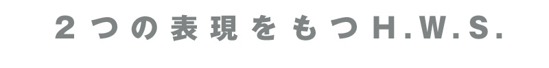 2つの表現をもつH.W.S.