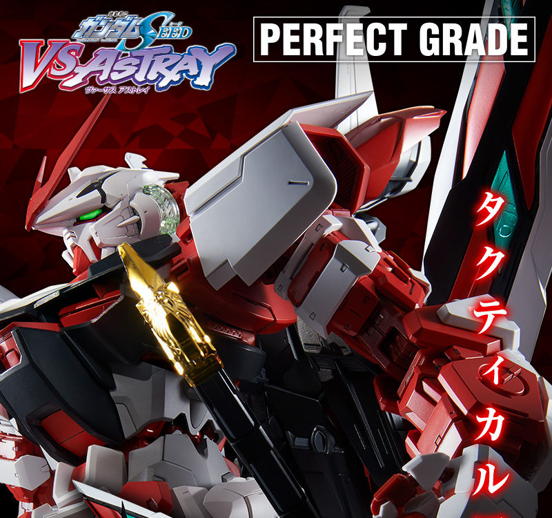 PG 1/60 Gundam Astray Red Frame Kai Plastic Model