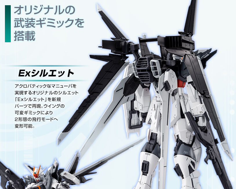 MG 1/100 ZGMF-X56S/Ex Gundam Ex Impulse