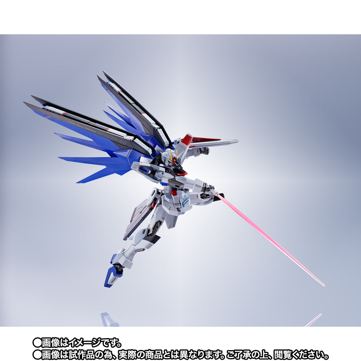 Metal Robot Spirits(Side MS) ZGMF-X10A Freedom Gundam