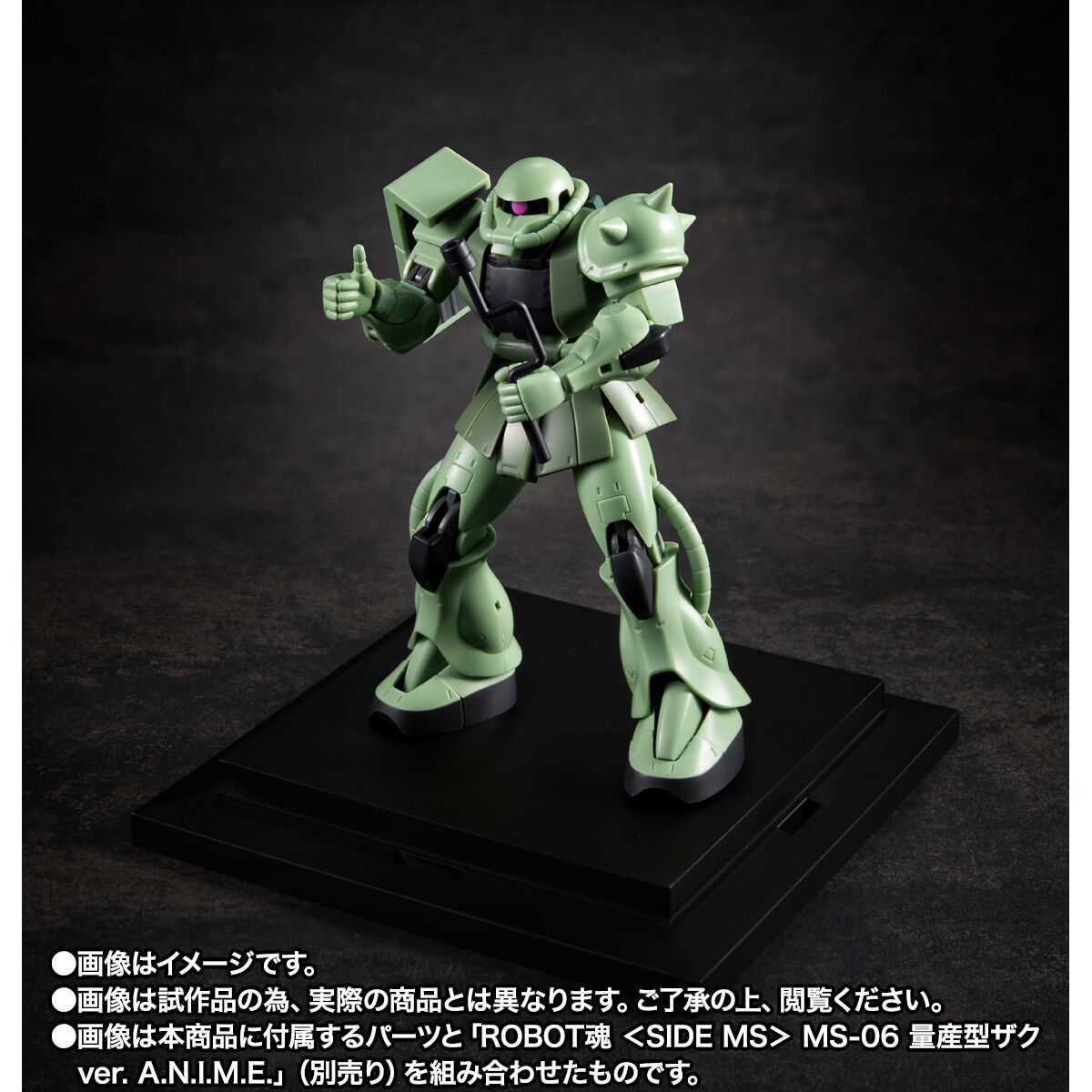Robot Spirits(Side MS) R-SP YMS-09 Prototype Dom ver. A.N.I.M.E. ～MS Museum～