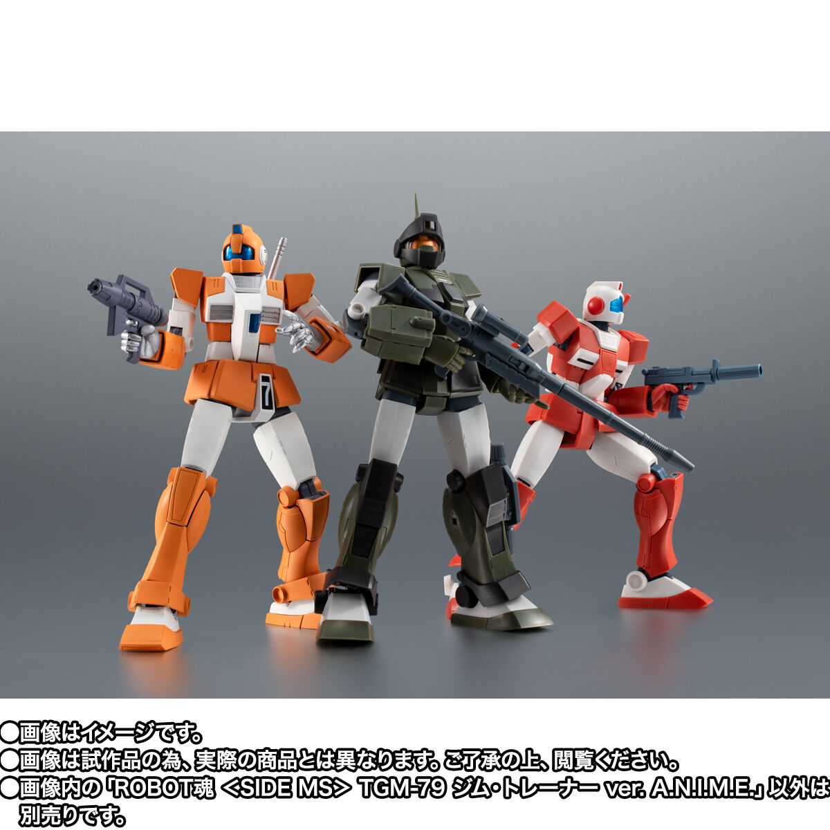 Robot Spirits(Side MS) R-SP TGM-79 Gundam type Mass-production model Trainer Type ver. A.N.I.M.E.