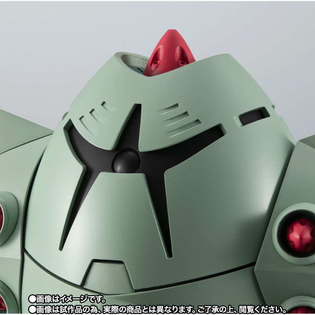 Robot Spirits(Side MS) R-SP MSM-10 Zock ver. A.N.I.M.E.