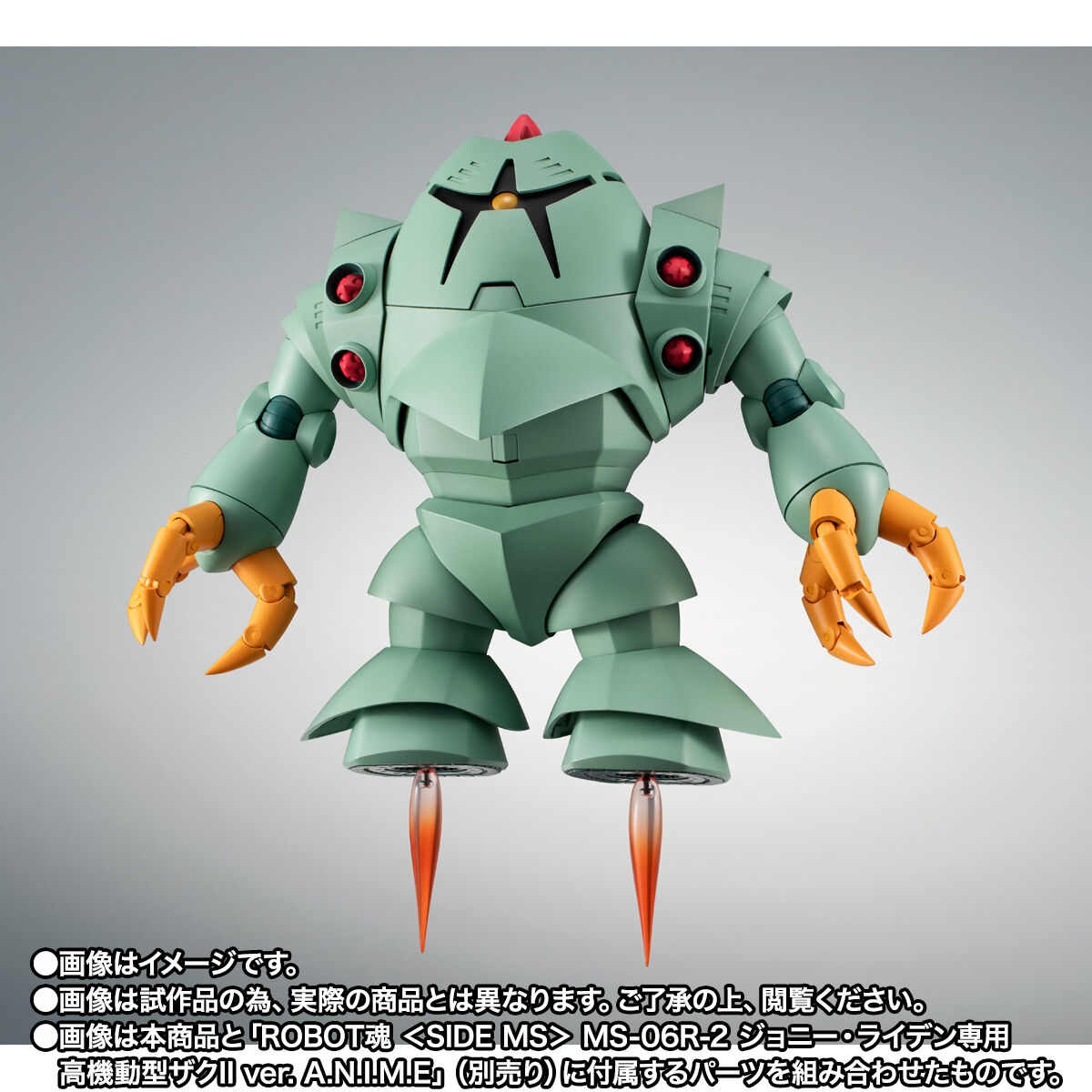 Robot Spirits(Side MS) R-SP MSM-10 Zock ver. A.N.I.M.E.