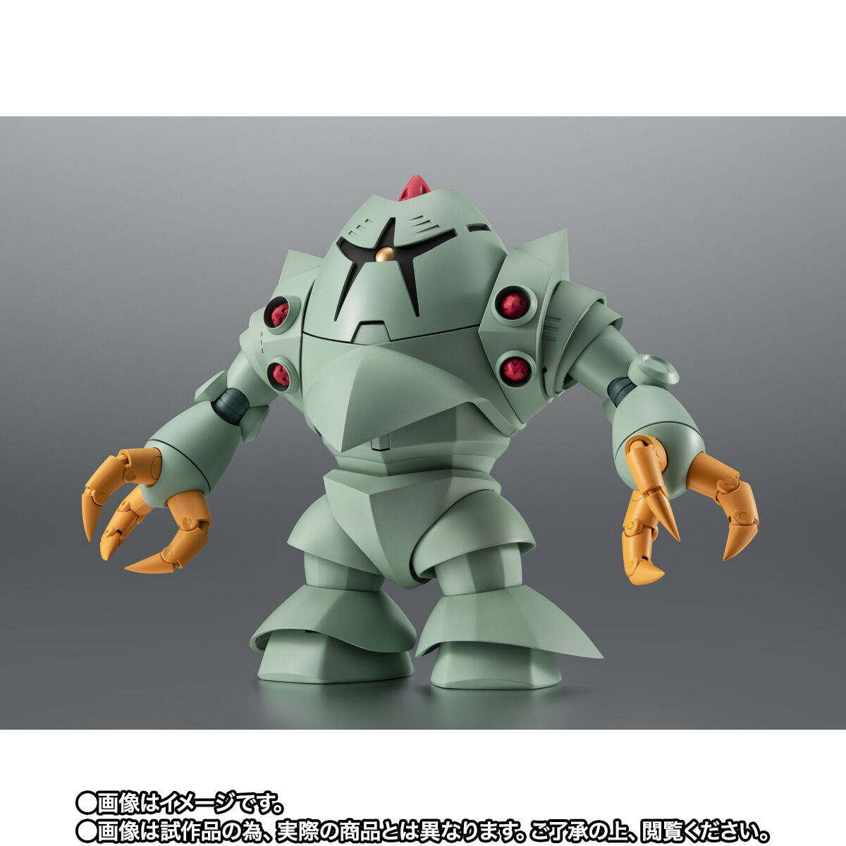 Robot Spirits(Side MS) R-SP MSM-10 Zock ver. A.N.I.M.E.