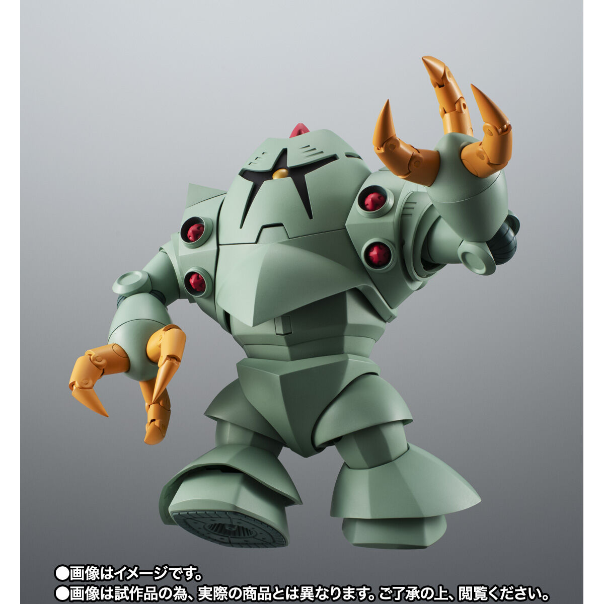 Robot Spirits(Side MS) R-SP MSM-10 Zock ver. A.N.I.M.E.