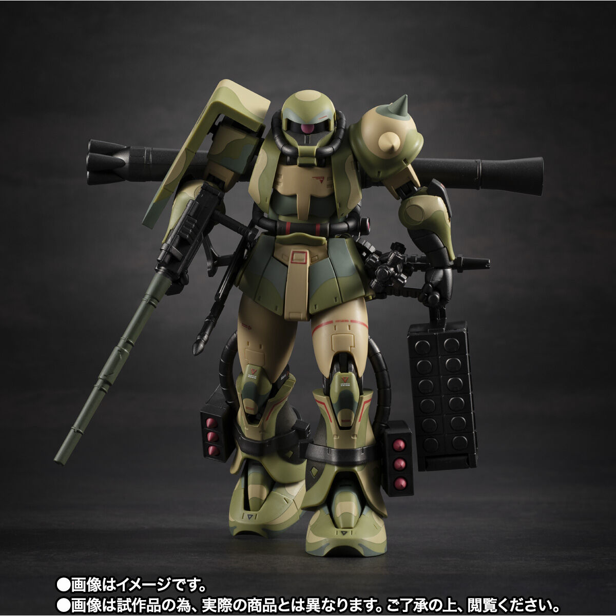 Robot Spirits(Side MS) R-SP MS-06J ZakuⅡ Wetland Type ver. A.N.I.M.E. ~MS Museum~