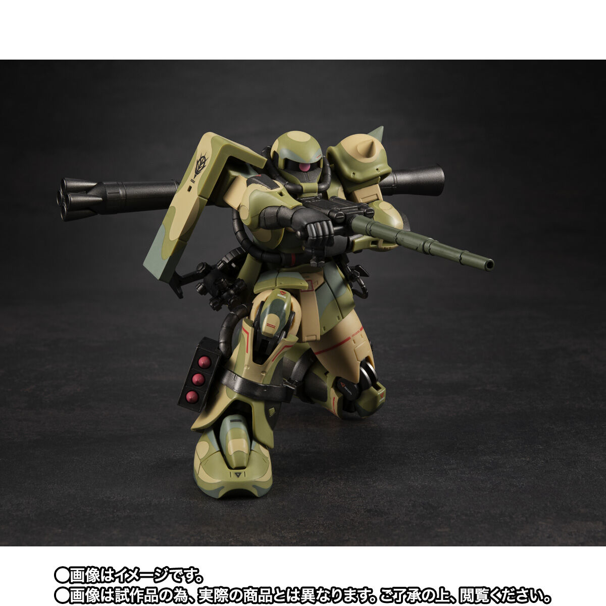 Robot Spirits(Side MS) R-SP MS-06J ZakuⅡ Wetland Type ver. A.N.I.M.E. ~MS Museum~