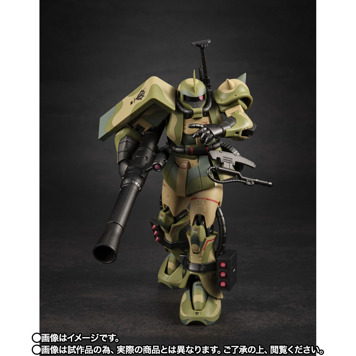 Robot Spirits(Side MS) R-SP MS-06J ZakuⅡ Wetland Type ver. A.N.I.M.E. ~MS Museum~
