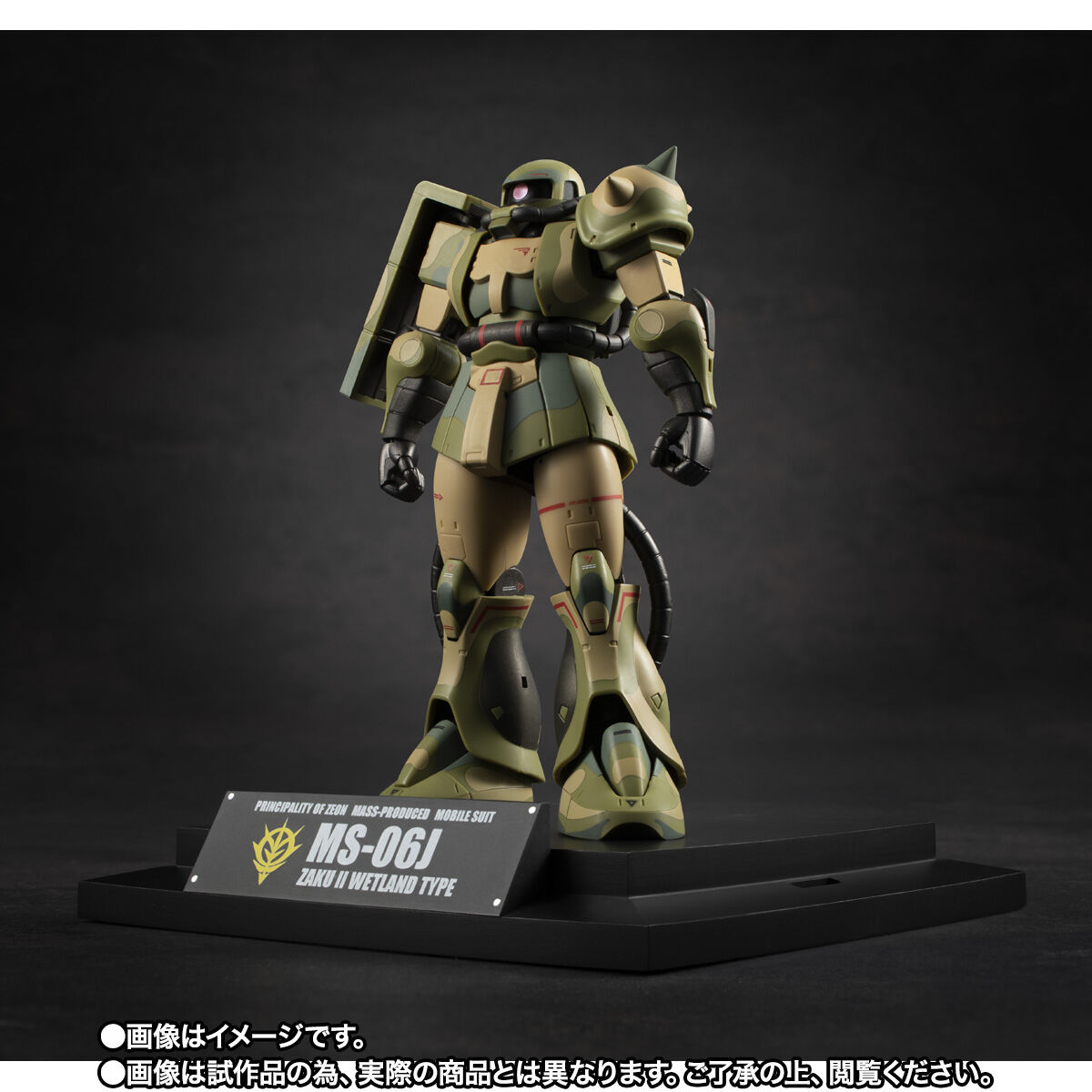 Robot Spirits(Side MS) R-SP MS-06J ZakuⅡ Wetland Type ver. A.N.I.M.E. ~MS Museum~