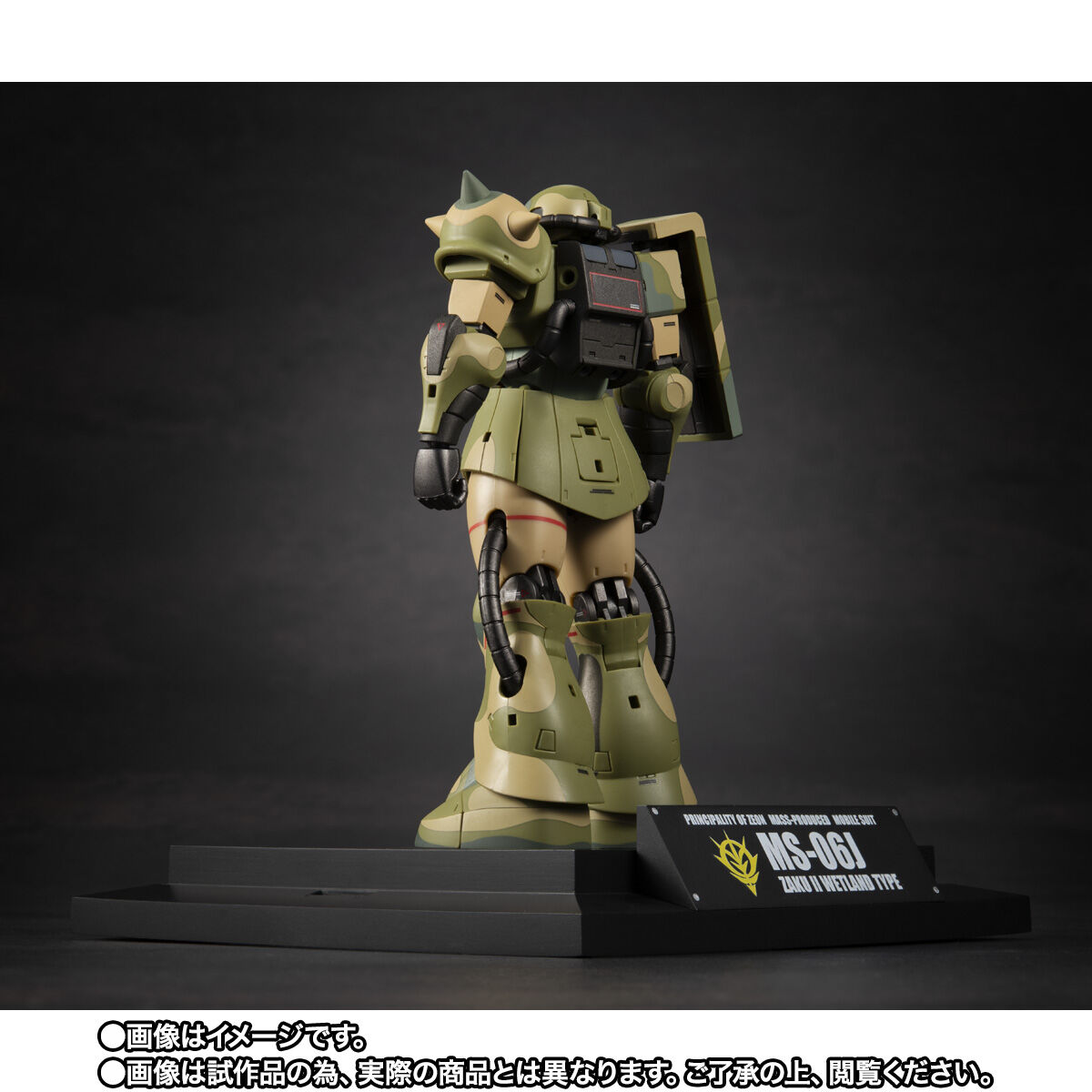 Robot Spirits(Side MS) R-SP MS-06J ZakuⅡ Wetland Type ver. A.N.I.M.E. ~MS Museum~