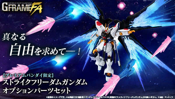 Mobile Suit Gundam G Frame Full Armor Option Parts set for ZGMF-X20A Strike Freedom Gundam