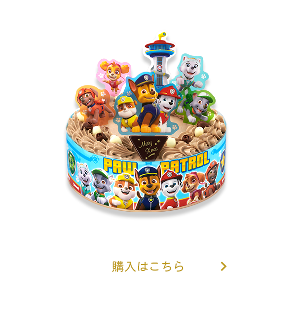 LfRp[eB[P[L (`RN[)(5TCY)