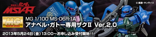 lf 1/100 MS-06R-1A AixEKg[pUNhh Ver.2.0