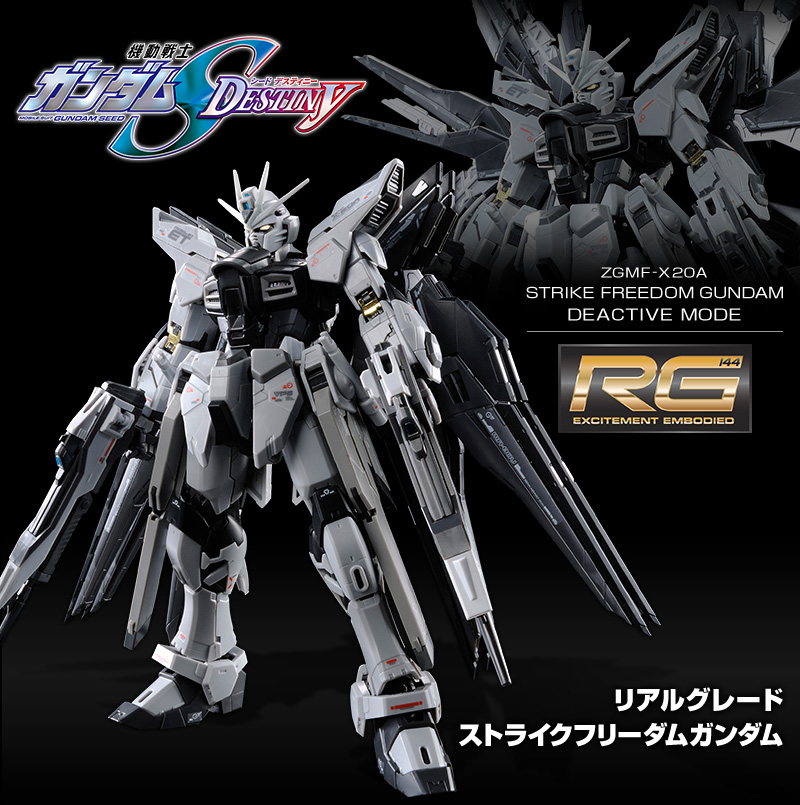 RG 1/144 ZGMF-X20A Strike Freedom Gundam Deactive Mode