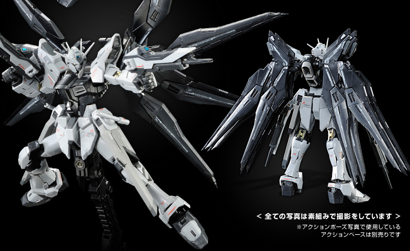 RG 1/144 ZGMF-X20A Strike Freedom Gundam Deactive Mode