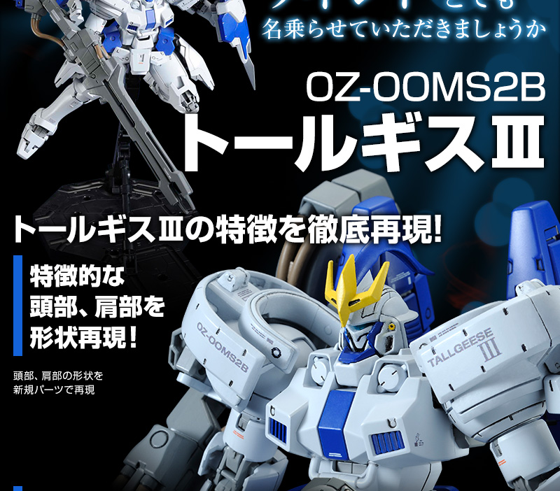 MG 1/100 トールギスIII|プレミアムバンダイ|バンダイナムコ