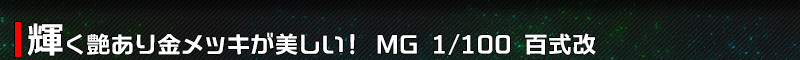 PbLI MG 1/100 S