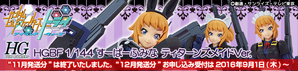 HGBF 1/144 [ρ[ӂ݂ eB^[YChuD