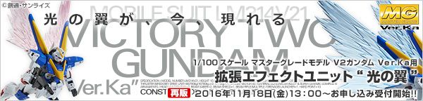 lf 1/100 uQK_ VerDKap gGtFNgjbg g̗h yĔ́z