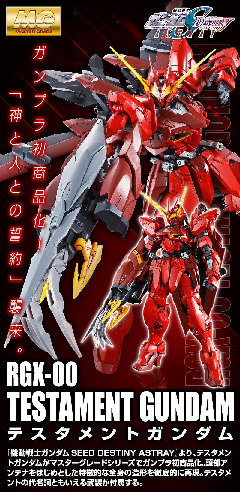 新版 MG 1/100 プラモデル テスタメントガンダム プラモデル 