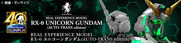 REAL EXPERIENCE MODEL RX-0 jR[K_iAUTO-TRANS editionj