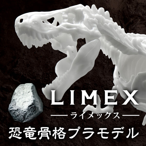 LIMEX 骨格恐竜プラモデル
