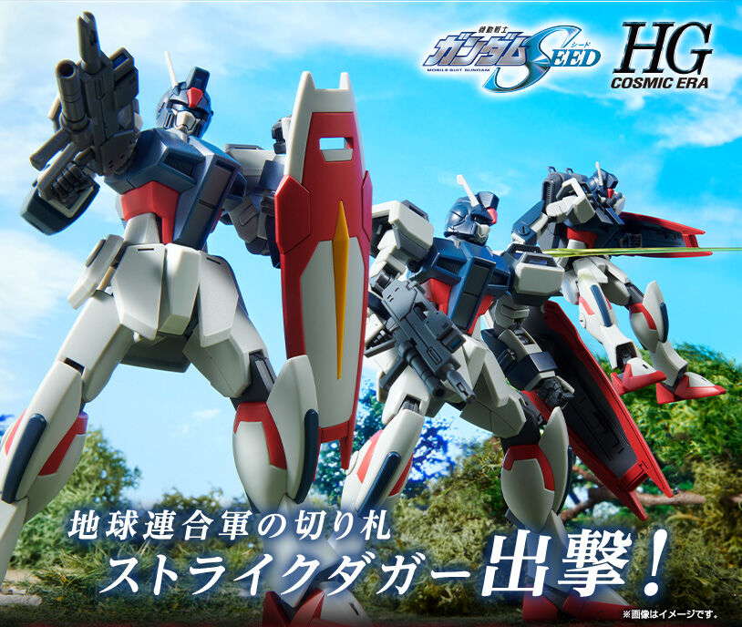 豪華ラッピング無料 プレミアムバンダイ限定 HG ストライクダガー