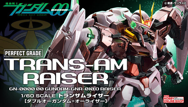 HG プレミアムバンダイ購入品　詰め合わせ ホビーオンラインショップ｜プレミアムバンダイ｜バンダイナムコ