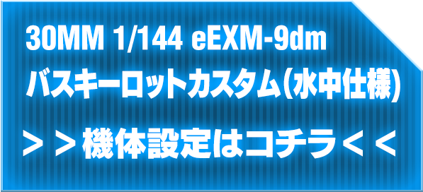 30MM 1/144 eEXM-9dm oXL[bgJX^idlj @̐ݒ̓R`