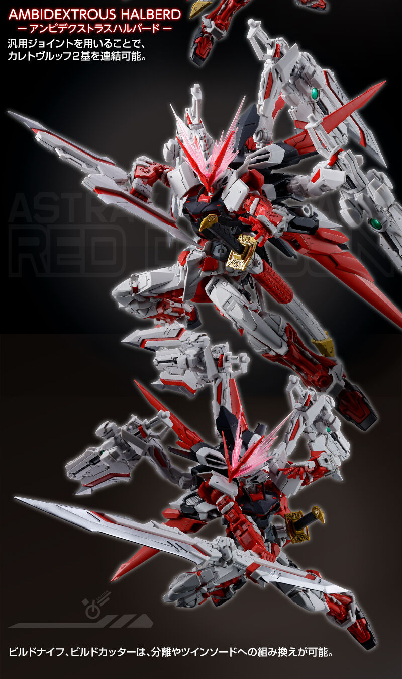 RG 1/144 MBF-P02 Gundam Astray Red Dragon