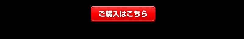 HG 1/35 Zi-�A���e�~�X