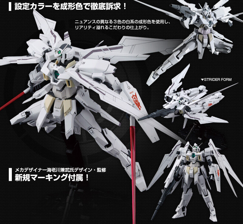 MG 1/100 AGE-2 Gundam AGE-2 Normal(Special Forces Custom)