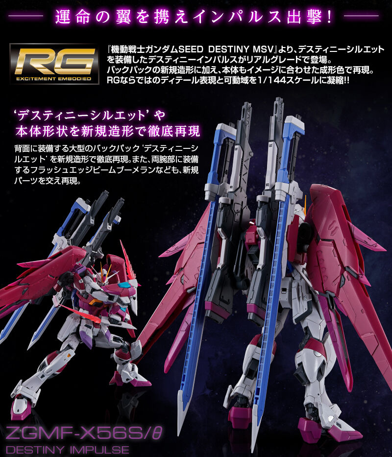 在庫あり/即出荷可】 ＲＧ デスティニーインパルス プレミアムバンダイ