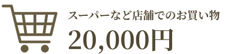 X[p[ȂǓX܂ł̂ 20,000~