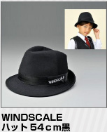 WINDSCALE�n�b�g54������