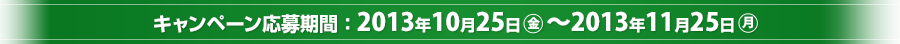 Ly[ԁF2013N1025`2013N1125