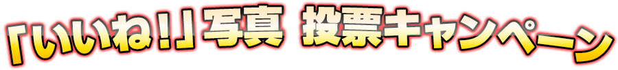 uˁIvʐ^  [Ly[