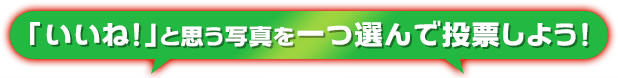 uˁIvƎvʐ^Iœ[悤I