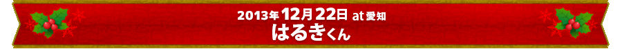 2013�N12��22��at���m �͂邫����