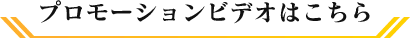 v[VrfI͂