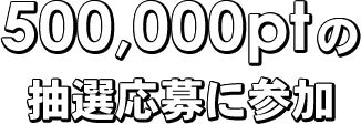 500,000pt̒IɎQ