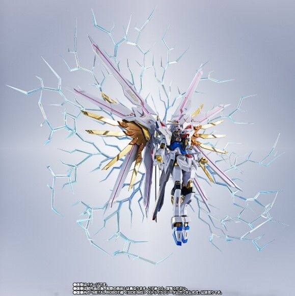 METAL ROBOT魂 ＜SIDE MS＞ マイティーストライクフリーダム
