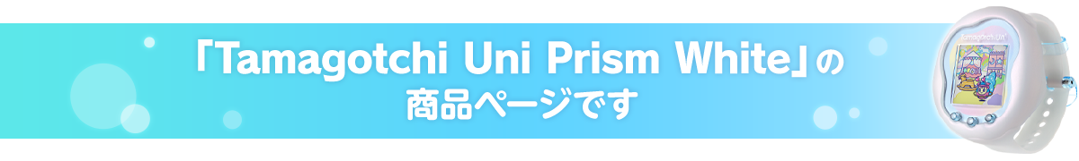 ���̏��i�y�[�W�ł�