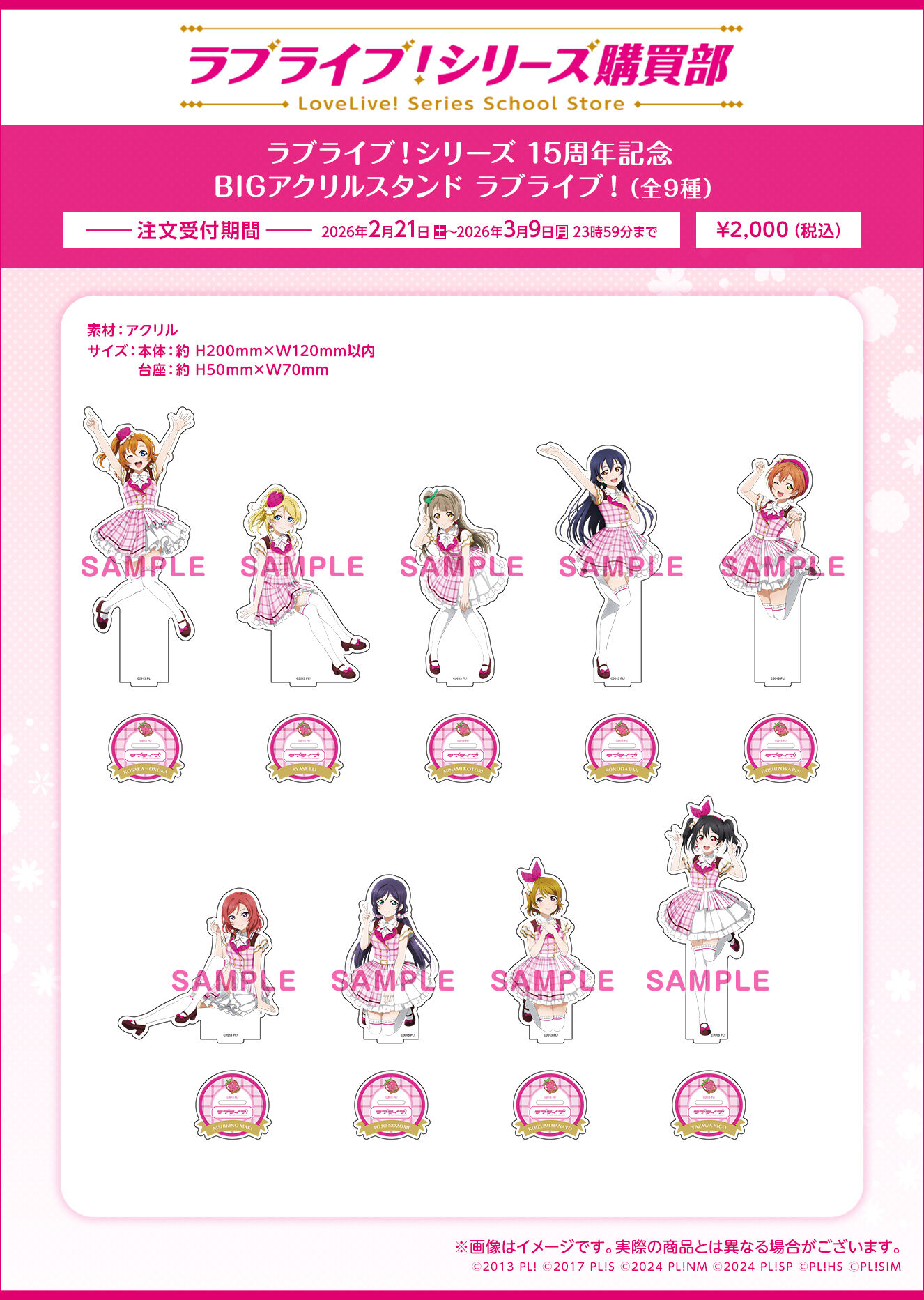 ���u���C�u�I�V���[�Y 15���N�L�O BIG�A�N�����X�^���h ���u���C�u�I�i�S9��j