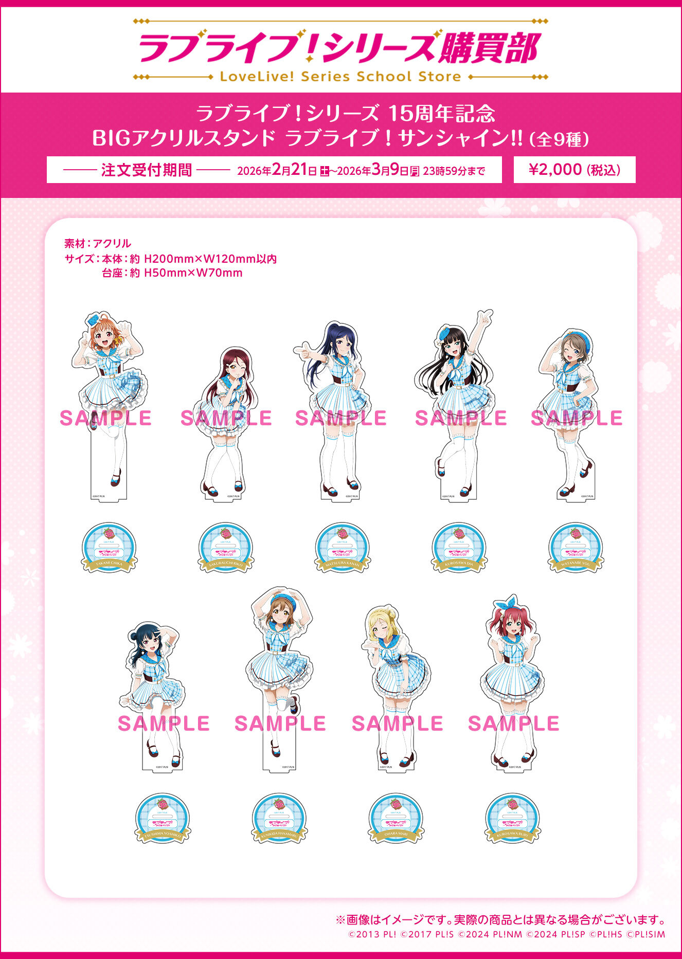 ���u���C�u�I�V���[�Y 15���N�L�O BIG�A�N�����X�^���h ���u���C�u�I�T���V���C���i�S9��j