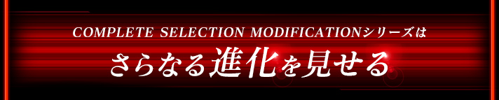 COMPLETE SELECTION MODIFICATIONV[Y͂Ȃi