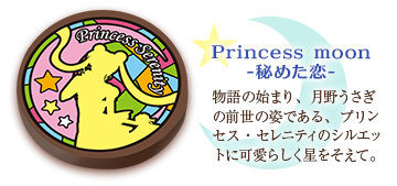 Princess moon -秘めた恋- 拡大