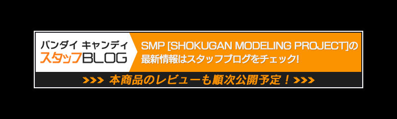 SMP [SHOKUGAN MODELING PROJECT]蒼き流星SPTレイズナー レイズナー